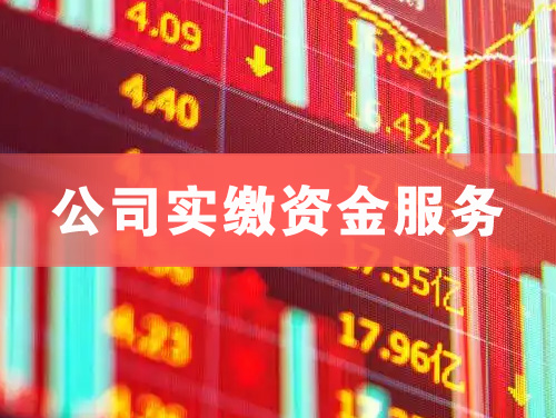 防城港公司实缴资金服务