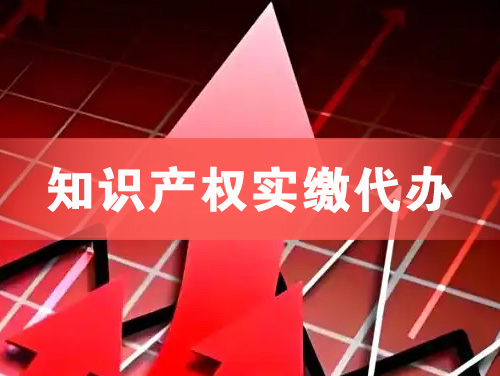 防城港知识产权实缴资本代办